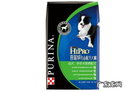 幼犬狗粮怎么辨别优劣