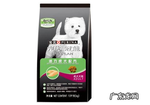 冠能狗粮如何？