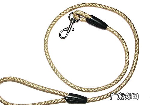 牵引绳是否越久越好