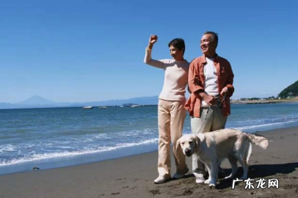 上海65岁老人最新政策 78岁的老人能不能开淘宝店?开淘宝店的年龄限制是多少?淘宝年龄18岁限制怎么办