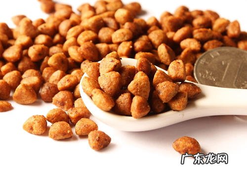 有什么比较好的狗粮牌子