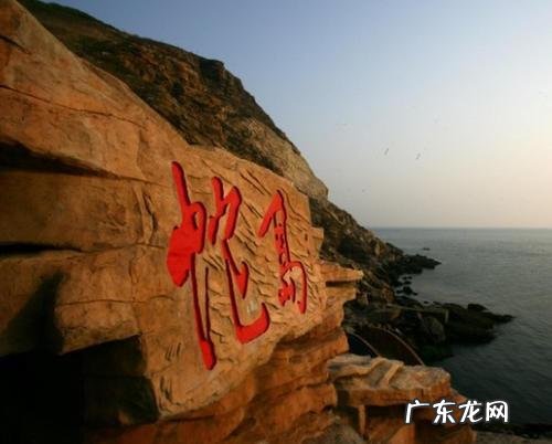 把十只公羊和母羊,放到有森林的孤岛上,10年后会有什么变化?