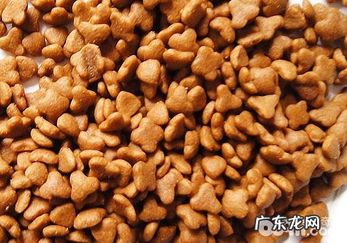 天然狗粮哪个牌子好