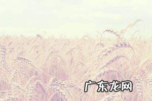 开淘宝店铺的详细步骤 淘宝宝贝分类怎么装修?详细的装修步骤分享淘宝上传宝贝图片教程