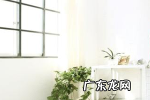 怎么申请当淘宝客服 淘宝店客服中心如何装修？装修步骤详解！淘宝怎么联系人工客服