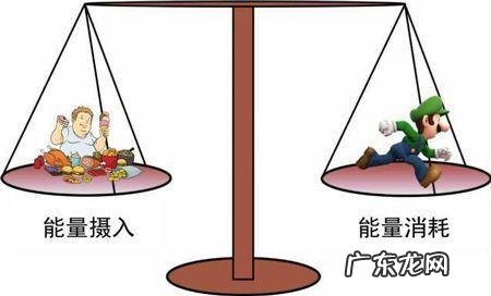 懒人健身器材瘦肚子神器男士专用 男士家用健身器材，有哪些比较好的种类?用来减肥减脂的？