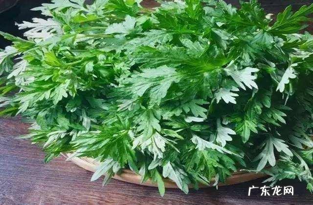 为什么三亚本地人那么瘦，而且女孩子个子偏低？