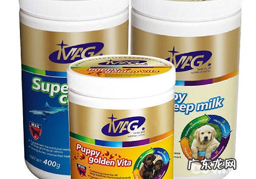 狗婴儿奶粉如何喂较为有效