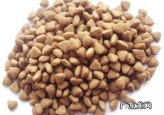 狗粮牌子重不重要