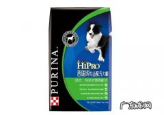 幼犬狗粮挑选需重视营养成分