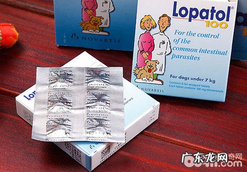 汽巴100狗驱虫药如何