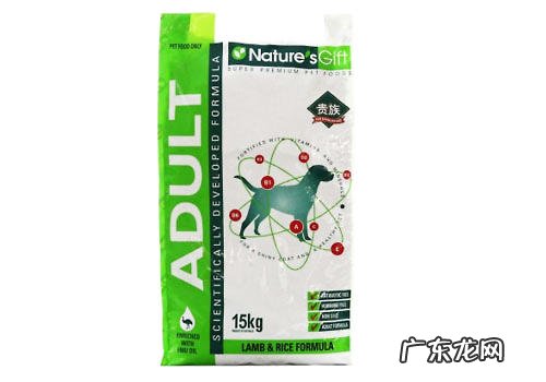 小狗食材挑选要重视犬粮的比能量