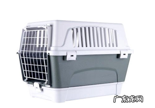 小狗航空箱有什么种类？