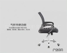 人体工学椅哪个牌子比较好 人体工学椅排名前十