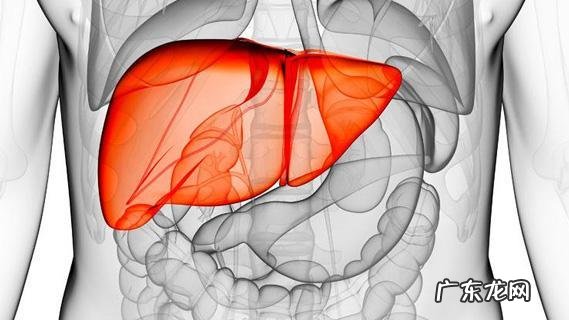 现在还有必要买自行车吗?