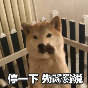 看傻了!iPhone 14,真的没有刘海