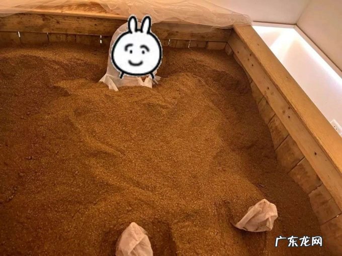 体验网红酵素浴被“活埋”,我申请了工伤