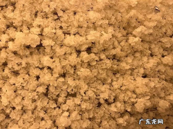 体验网红酵素浴被“活埋”,我申请了工伤