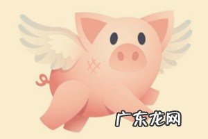 拼多多农产品开店条件 飞猪开店资质标准有哪些?飞猪开店资质标准分享开天猫店需要什么资质