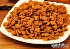 小泰迪喜欢什么狗粮