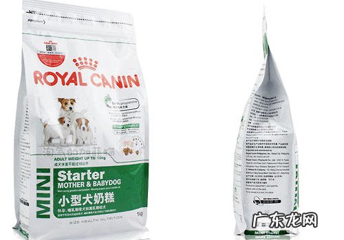 不清楚小狗狗喂哪些?试一下幼狗奶糕