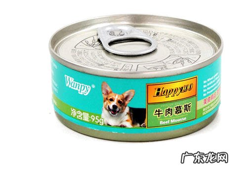 喂养狗罐头的常见问题