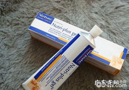 犬用营养膏哪个牌子好一些