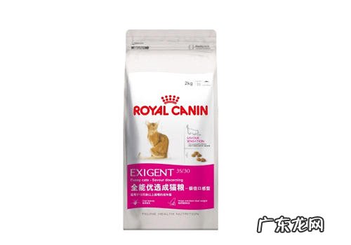 小宠物食材中的“不含防腐剂”指什么?