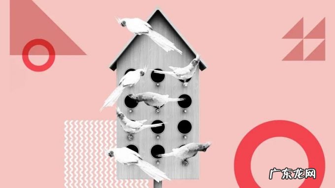 员工混日子，问题到底出在哪里?