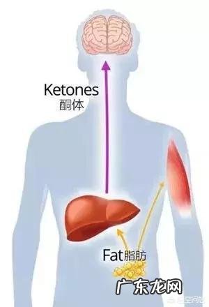 生酮饮食如何检测酮体 酮体是什么?生酮饮食是如何产生酮体的?