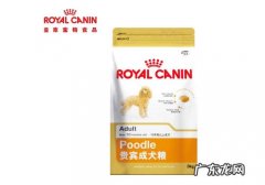 泰迪狗粮的类型有什么？