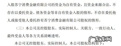 苏宁发布苏宁消费金融有限公司主要股东承诺书