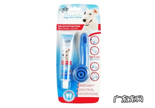 小狗美白牙膏必须给小狗应用吗?