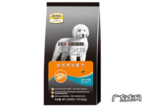 幼犬狗粮提供的最佳时机是啥?