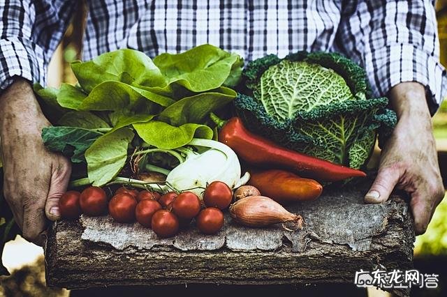 跳绳可以减肥吗？可以祛湿吗？