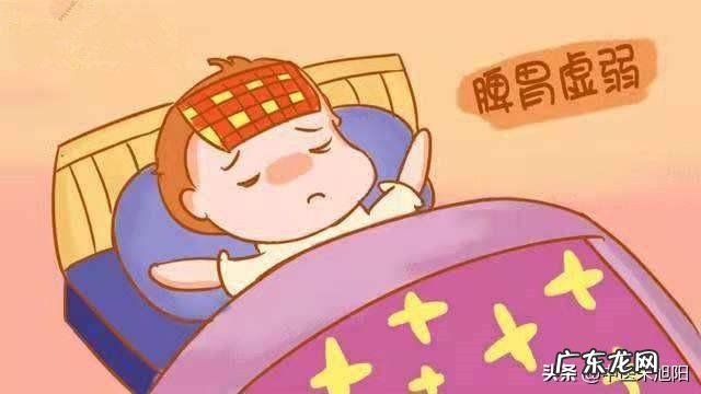 肠胃不好，代谢也不好的人，该怎么减肥？