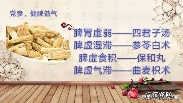肠胃不好，代谢也不好的人，该怎么减肥？