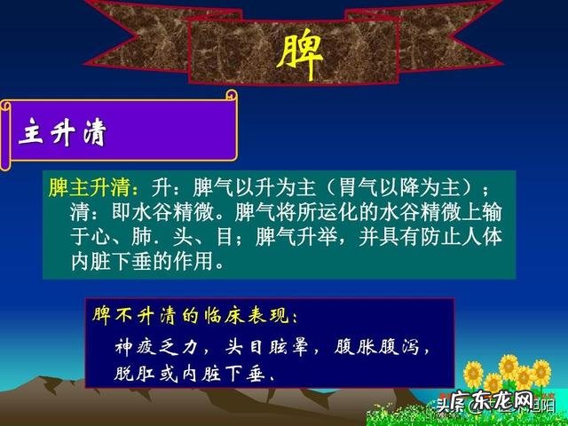 肠胃不好,代谢也不好的人,该怎么减肥?