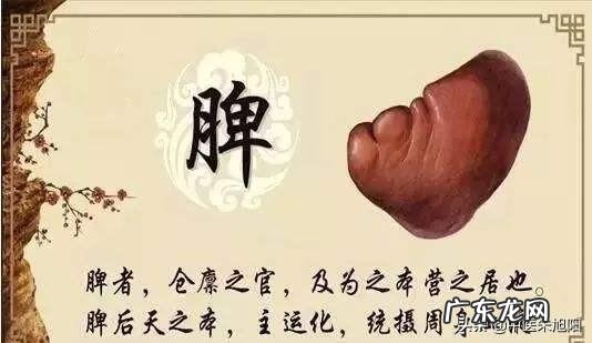 肠胃不好，代谢也不好的人，该怎么减肥？