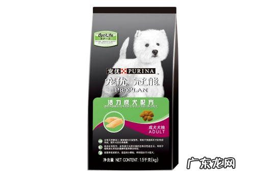 犬粮中的营养元素有什么?