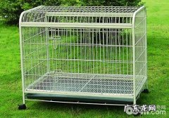 睡狗笼的优优势与劣势