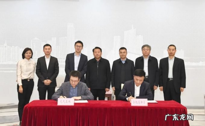 元气森林投资麦后科技后者经营范围含销售化妆品等