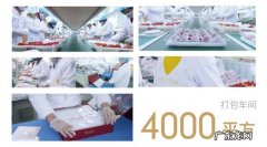 36氪首发 | 订阅制高端果礼「采果猴子」完成数百万元天使轮融资，主打周期性高端赠礼场景