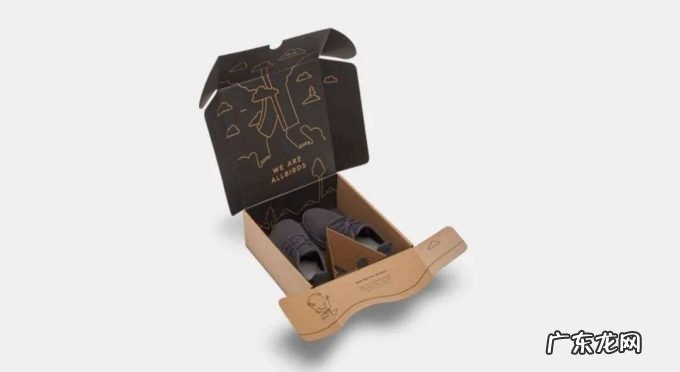 高复购率撑起的上市，Allbirds如何用环保圈粉的？