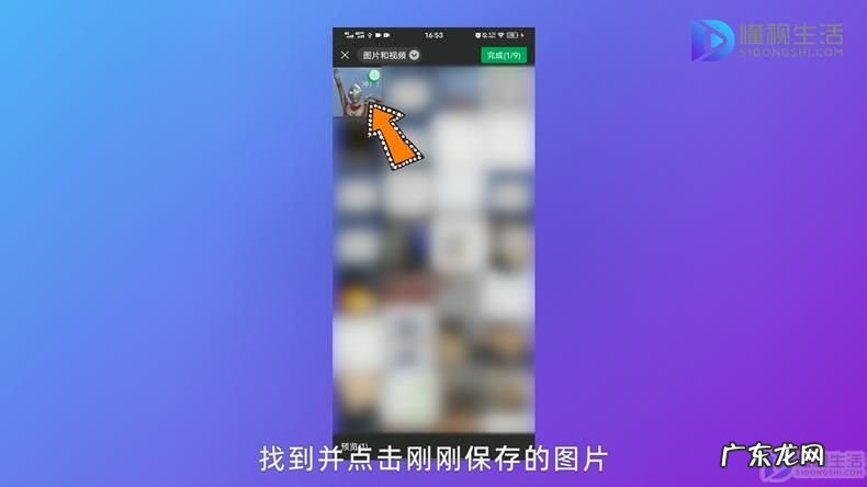 微信说说转发朋友圈怎么转? 微信转发朋友圈怎么弄