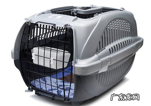 怎么选择小狗航空箱