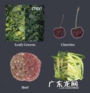 500万人都在吃邻居剩的,减少食物浪费的终极大招是这?