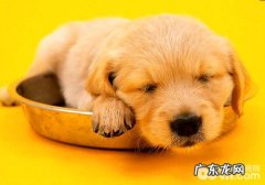 不必混喂药方粮与一般粮