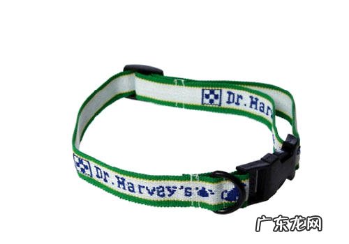 小狗去虱子要带颈圈吗?