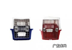 小狗航空箱的选择时的规格要怎么选